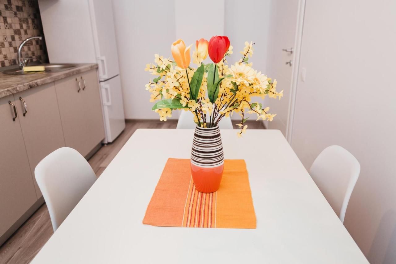 One Room Apart T3 With Free Parking Cluj-Napoca Exterior photo